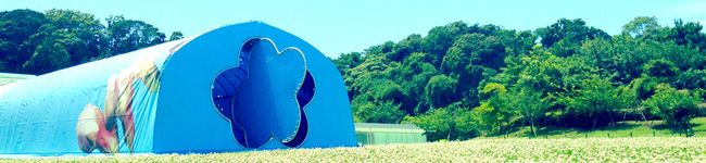 micvany's header image