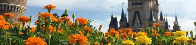 omyuo's header image