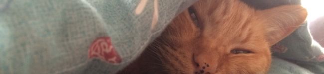 ♡…saaa's header image
