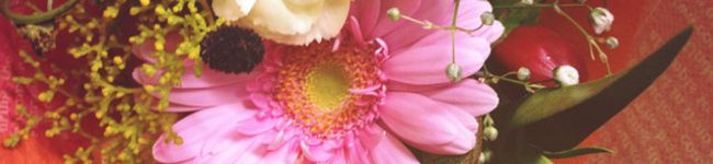 komugi78's header image