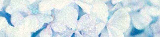 銀ちゃん✩'s header image