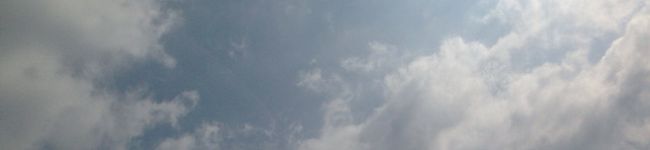 ともちん0118's header image