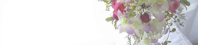 ちぃたろう's header image