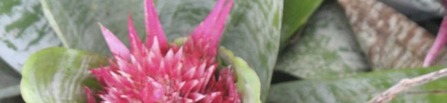 ❤ボリLuvs03❤'s header image