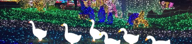 YuuuuNene's header image