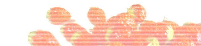 チョコ林檎's header image
