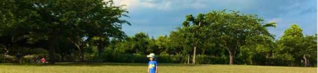 pinkfreya's header image