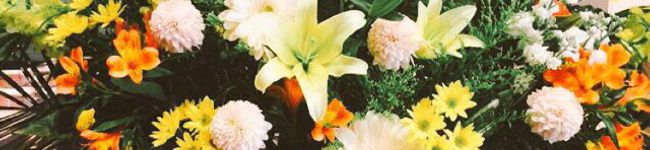 okeihaaan's header image