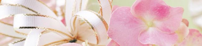 MiKi＊'s header image