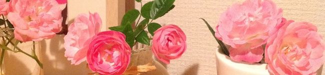 大森じゃむ's header image