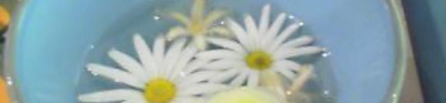 アッツ's header image