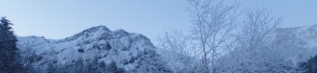 さくさっく〜's header image