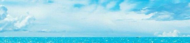 mosssan9's header image
