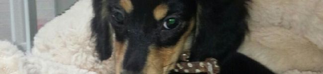 toto18's header image