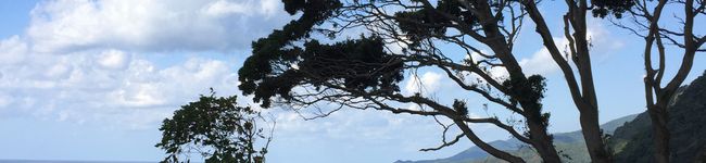 のんたっく's header image