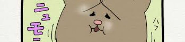 mittsuㅤㅤㅤ's header image