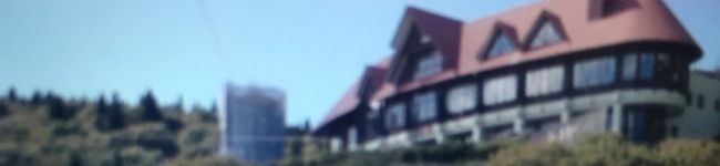 smst1311's header image