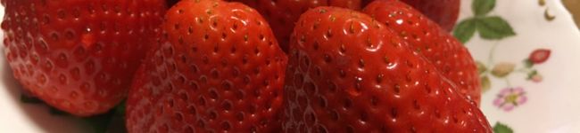 茄子母's header image