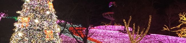 shachisan's header image