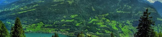 Dorothy108's header image