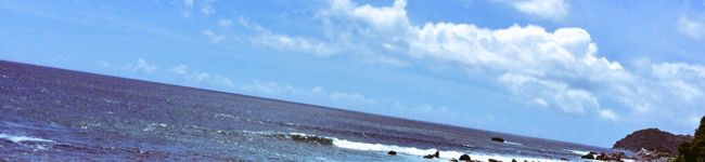 お茶のひ's header image