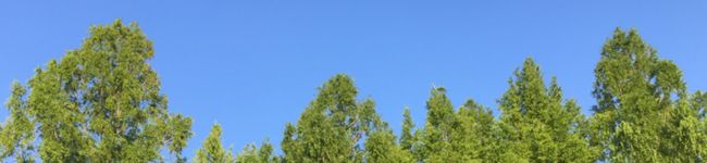 ☆あおはるママ☆'s header image