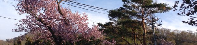 涼＆まいp's header image