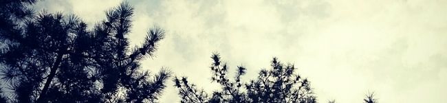 ♥♥coco♥♥'s header image