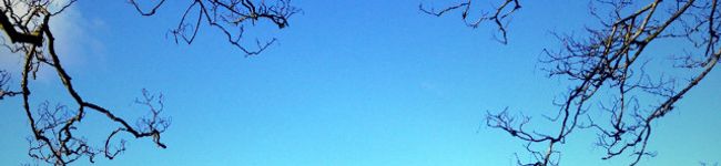 giniro17's header image