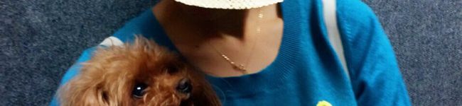 Daisy2315's header image