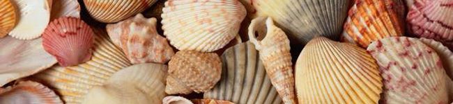 buri_mama's header image