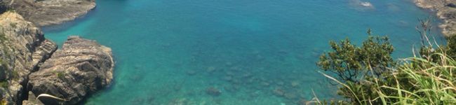 yukina321's header image