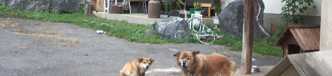 mameyabent's header image