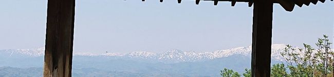 manana_yo's header image