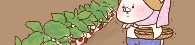 ホンザワラ's header image