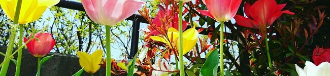 ジャム仔's header image