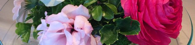 ちきmama's header image