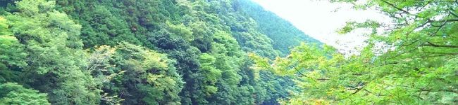 楓斗ママ☆'s header image