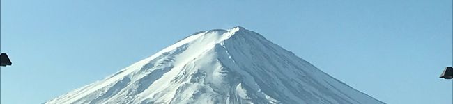 maxdax's header image