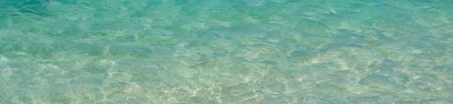 okinawajin's header image