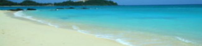 甘夏母さん's header image