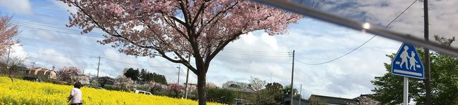 キュイ原家の新嫁's header image