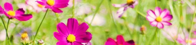 ちゃくま♡'s header image