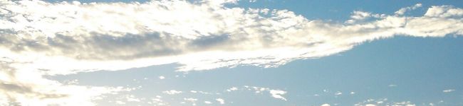 ゆんふらわー's header image