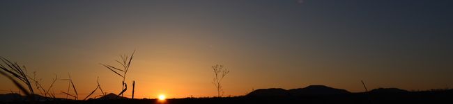 カメラ男子's header image