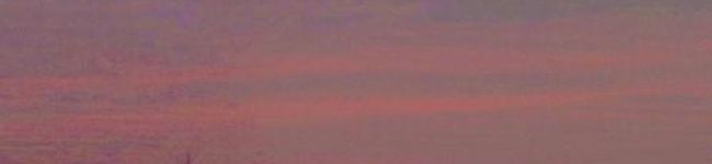 camecco's header image