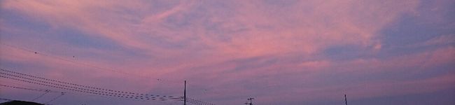 ３児の母あいこ's header image