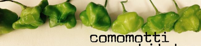 comomotti's header image