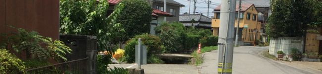 仮面にゃんだー's header image