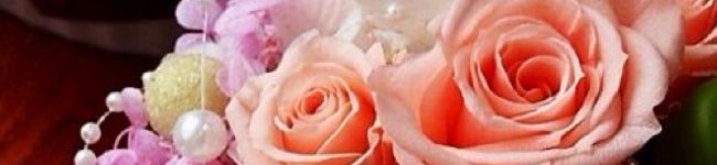 タロマロクゥ's header image